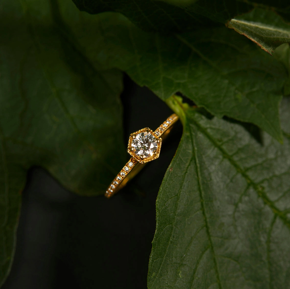 4.5mm White Diamond Hexagon Pave Ring | R9905W