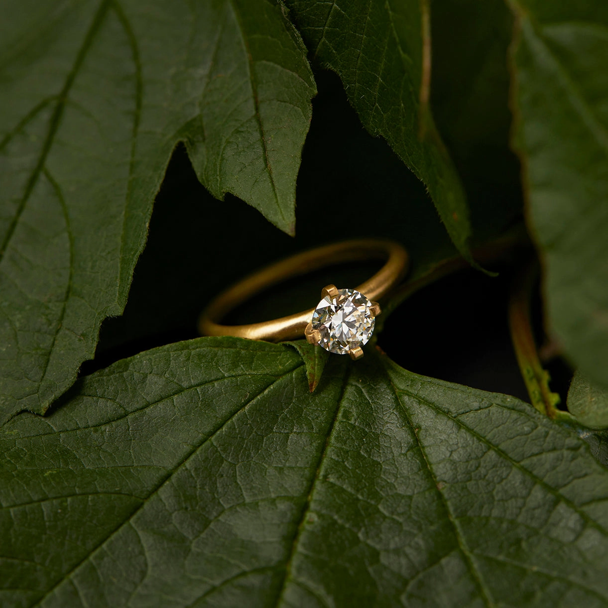 5.6mm White Diamond Noble Ring | R11707W