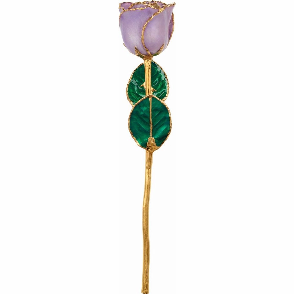 Golden  Rose