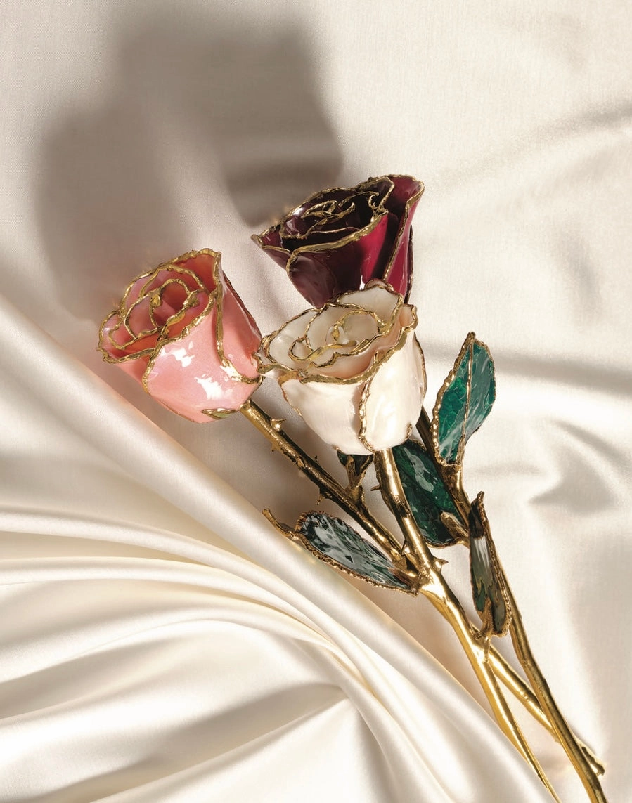 Golden  Rose
