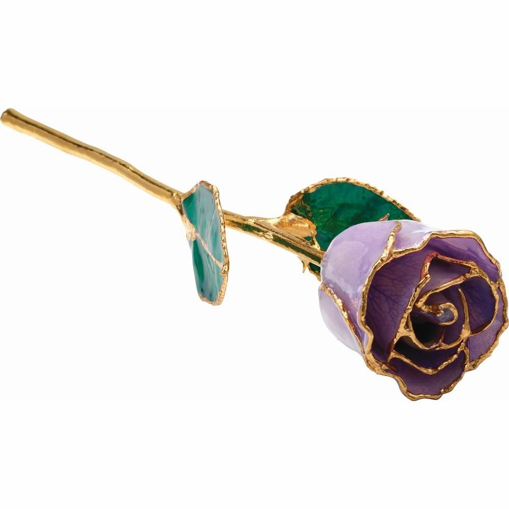 Golden  Rose
