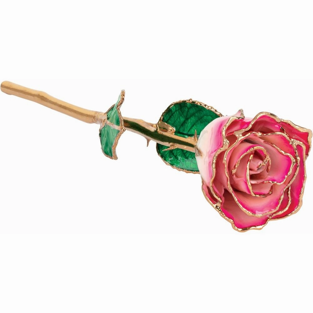 Golden  Rose