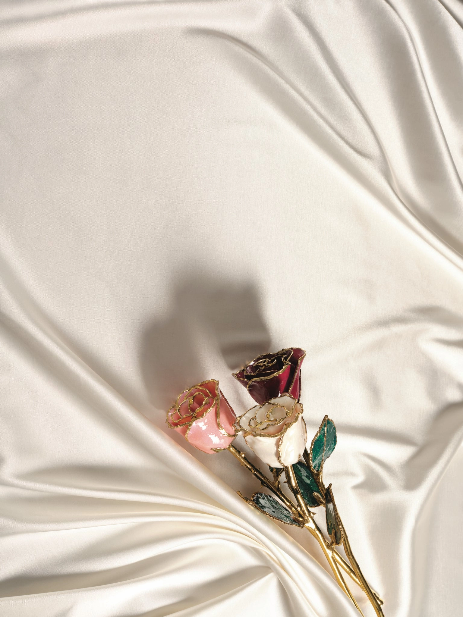 Golden  Rose