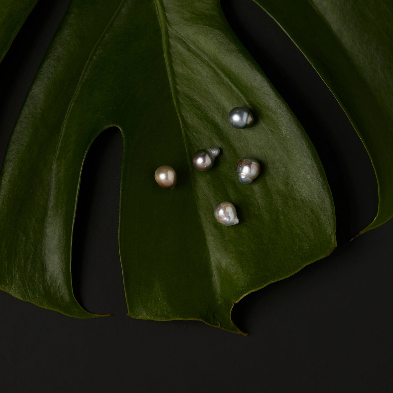 One-of-a-Kind Tahitian Pearl Studs | TPE-OOAK