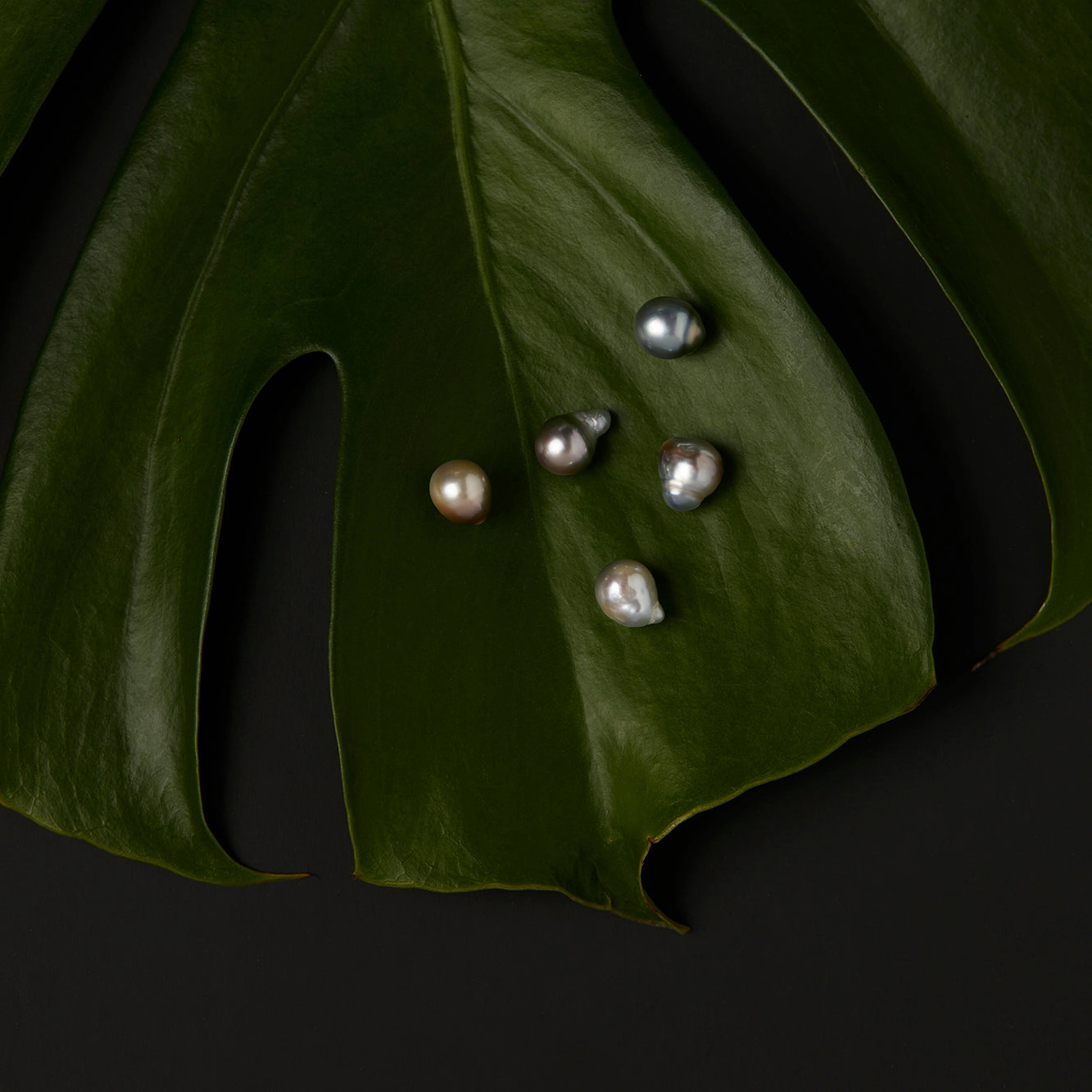 One-of-a-Kind Tahitian Pearl Studs | TPE-OOAK