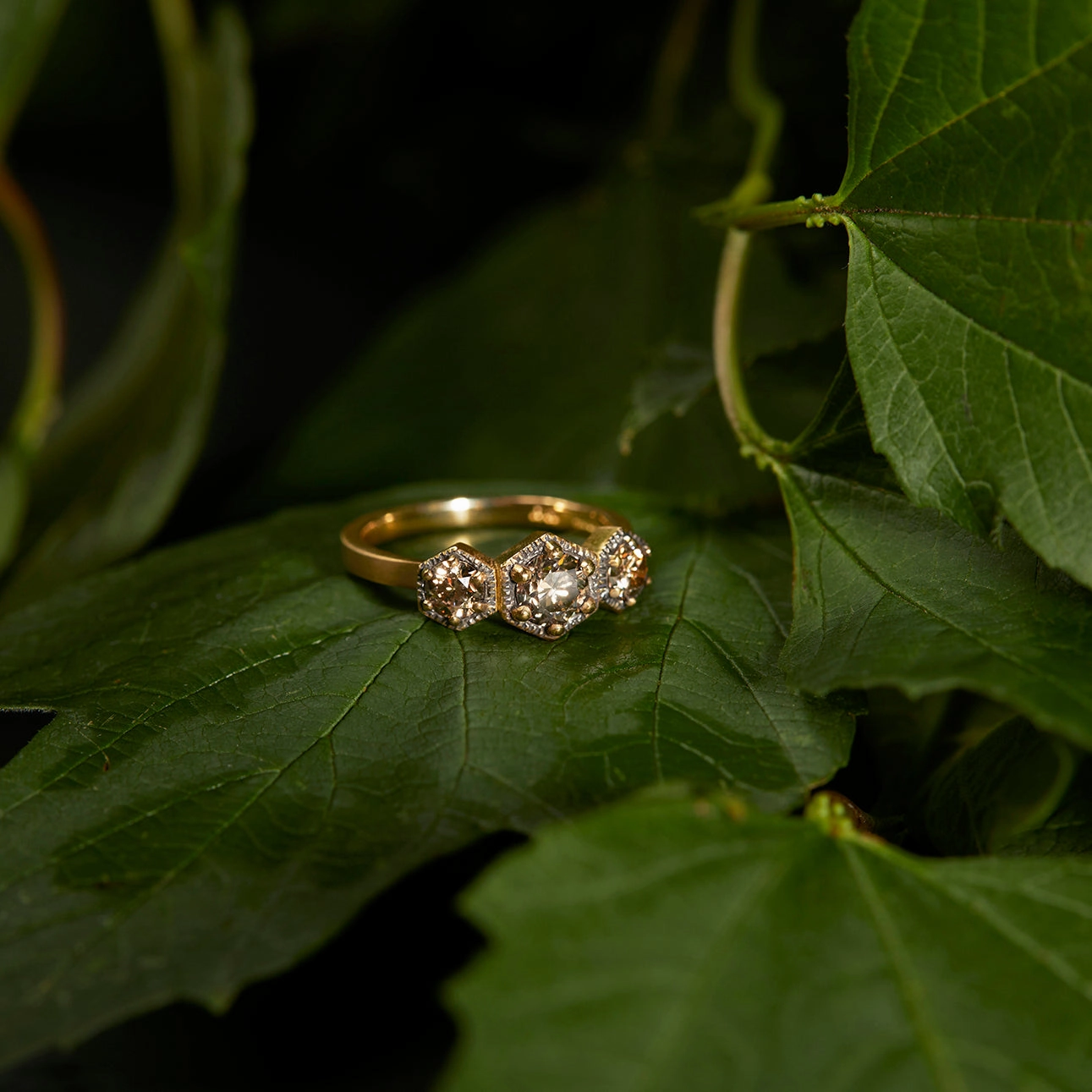 Queen Brown Diamond Triple Hexagon Ring | R8403BR