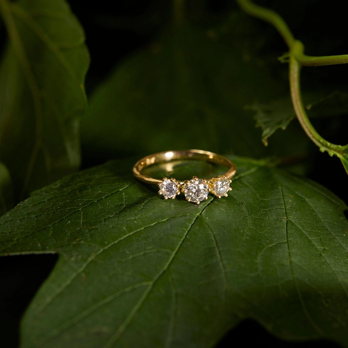 Triple White Diamond Blooming Ring | R19001W
